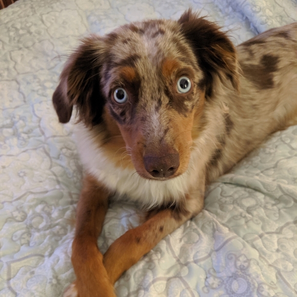 Welcome! All Reasonable Offers Accepted - Picture 2 of 7